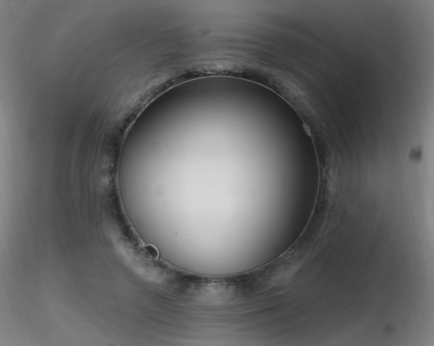 X0000116810546200912181347