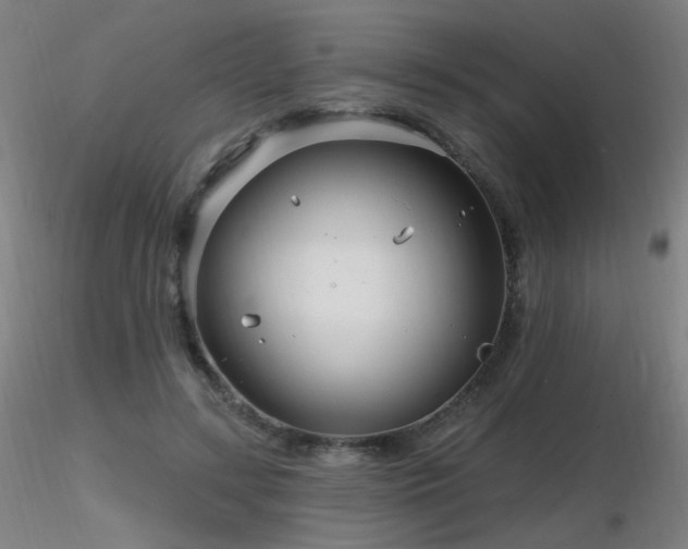 X0000116810547200912181347