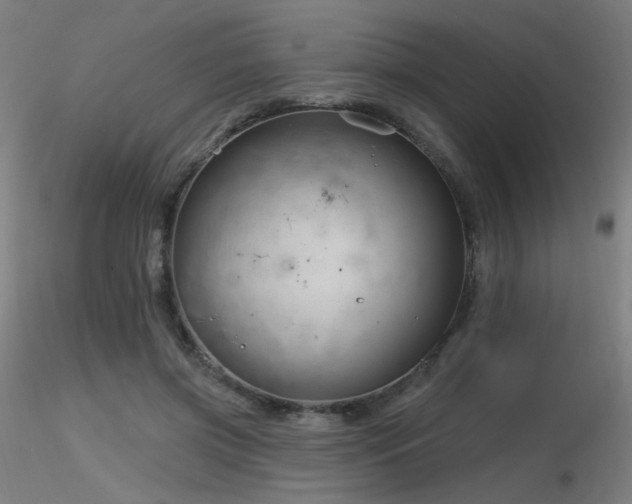 X0000116810549200912181347