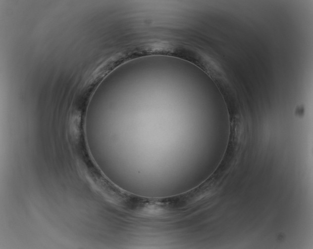 X0000116810550200912181347