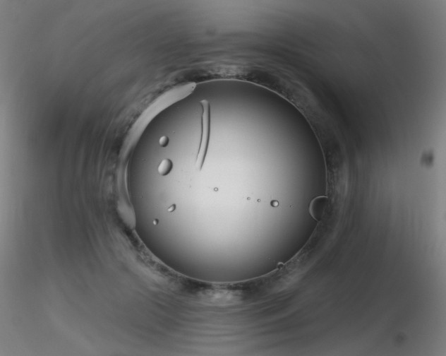 X0000116810553200912181347