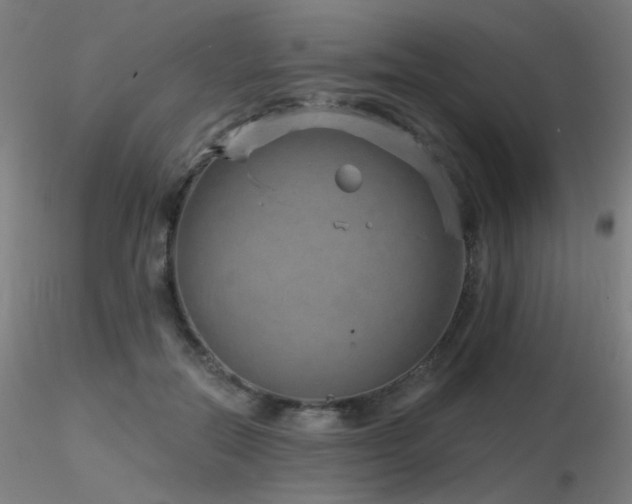 X0000116810554200912181347