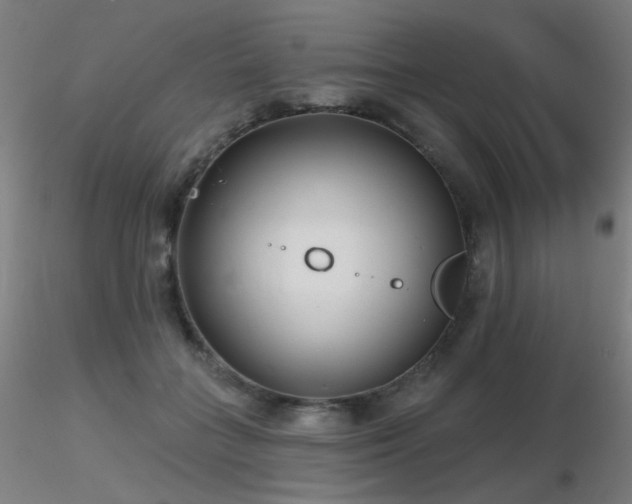 X0000116810555200912181347