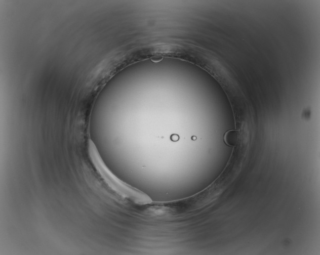 X0000116810557200912181347