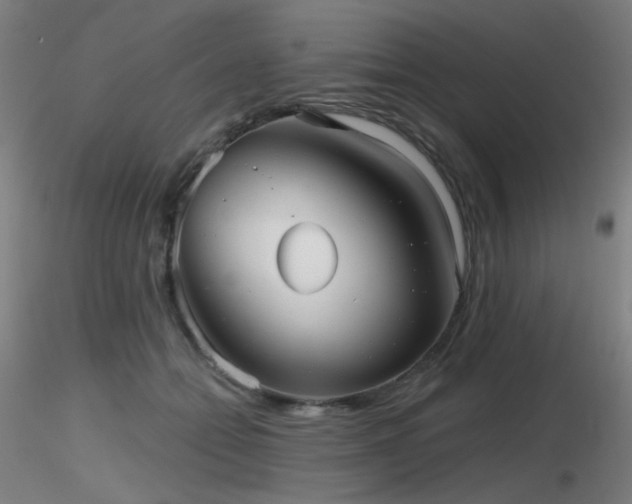 X0000116810558200912181347