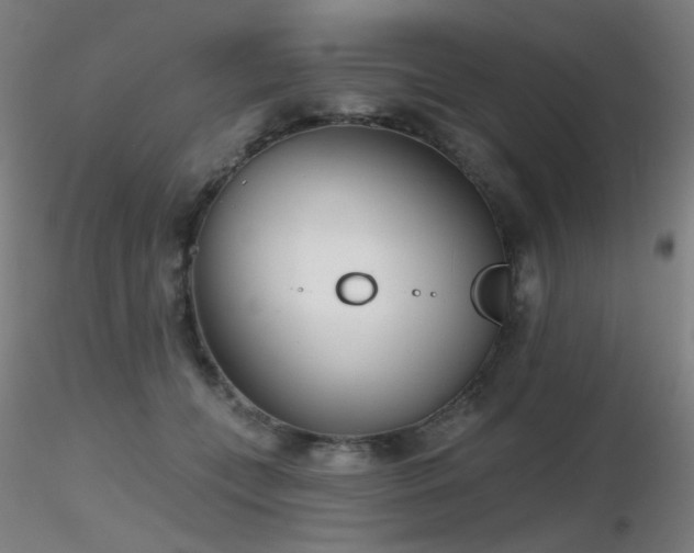 X0000116810559200912181347