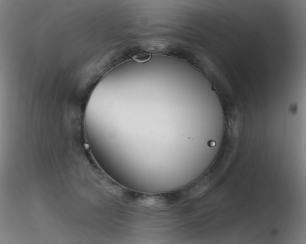 X0000116810561200912181347