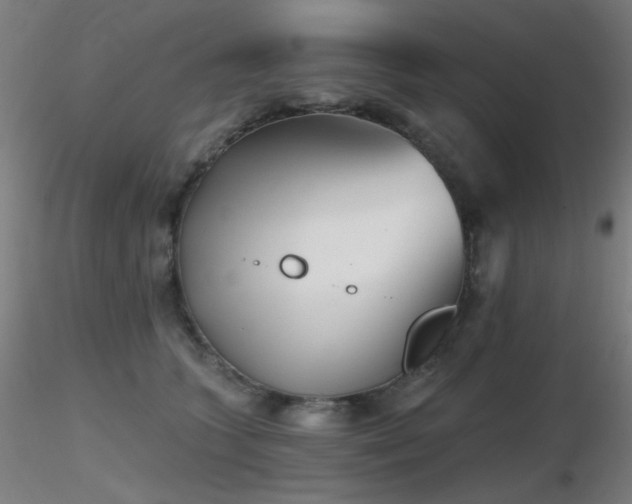 X0000116810563200912181347