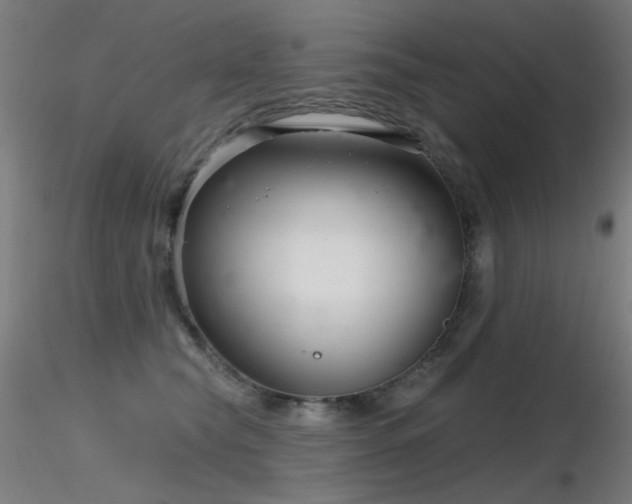 X0000116810565200912181347