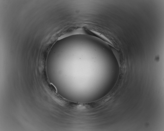 X0000116810566200912181347
