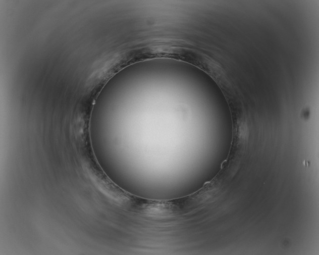 X0000116810567200912181347