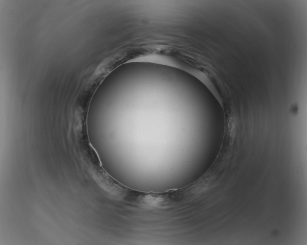 X0000116810570200912181347