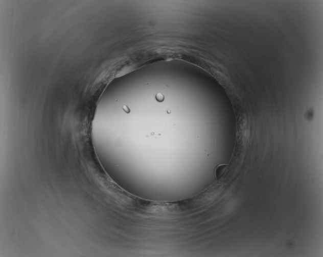 X0000116810571200912181347