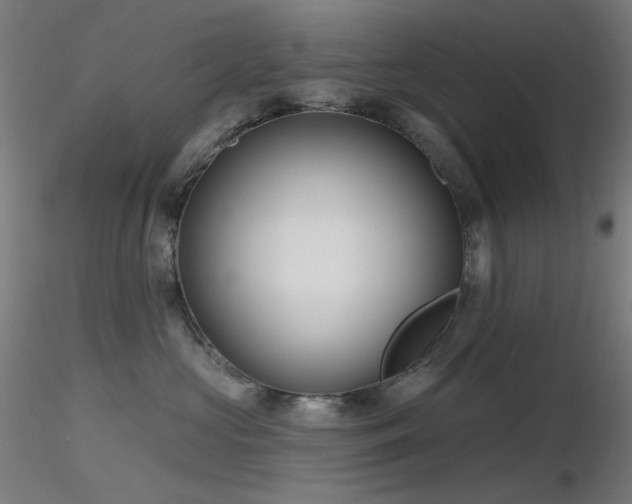 X0000116810573200912181347