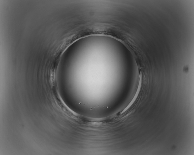 X0000116810575200912181347