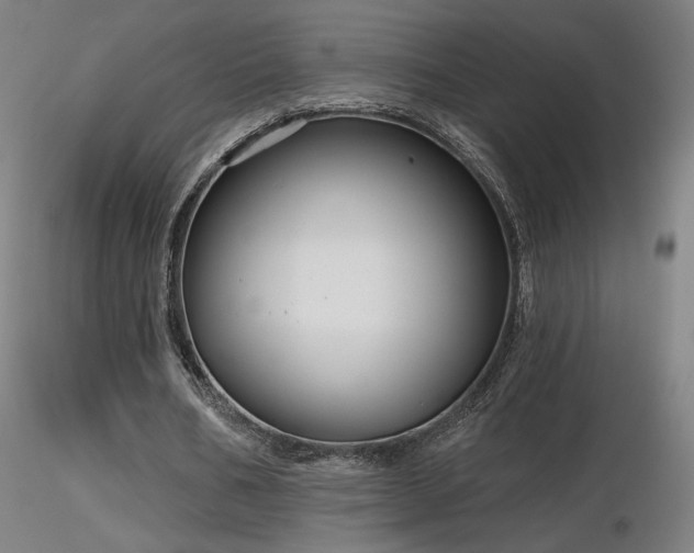 X0000116810578200912181347