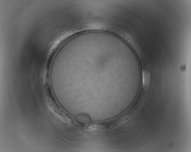 X0000116810579200912181347