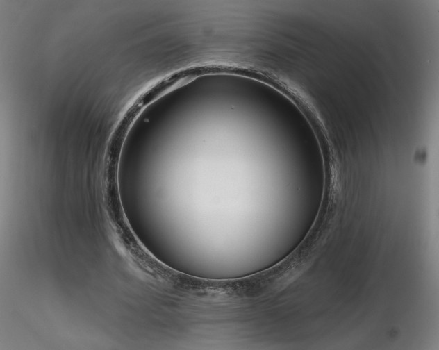 X0000116810580200912181347