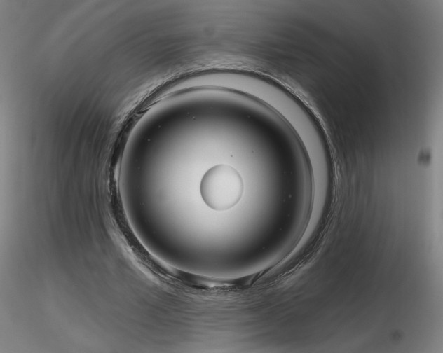 X0000116810581200912181347
