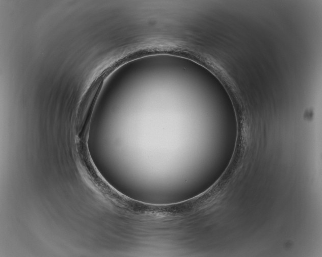X0000116810582200912181347