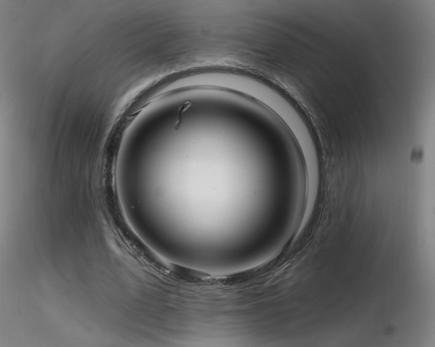 X0000116810583200912181347