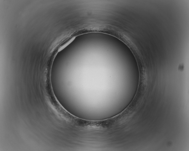 X0000116810586200912181346