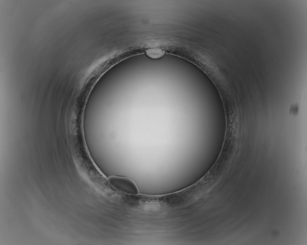 X0000116810587200912181346