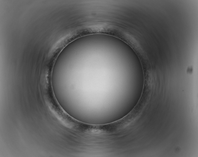 X0000116810590200912181346
