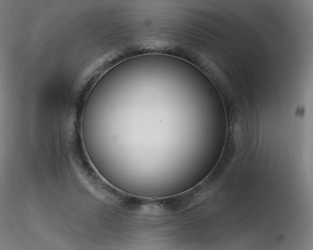 X0000116810591200912181346
