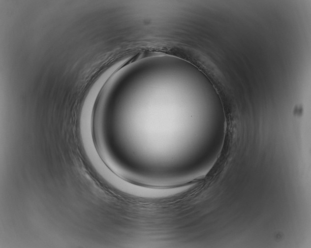 X0000116810593200912181346