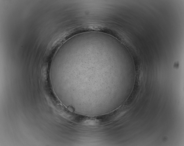 X0000116810595200912181346