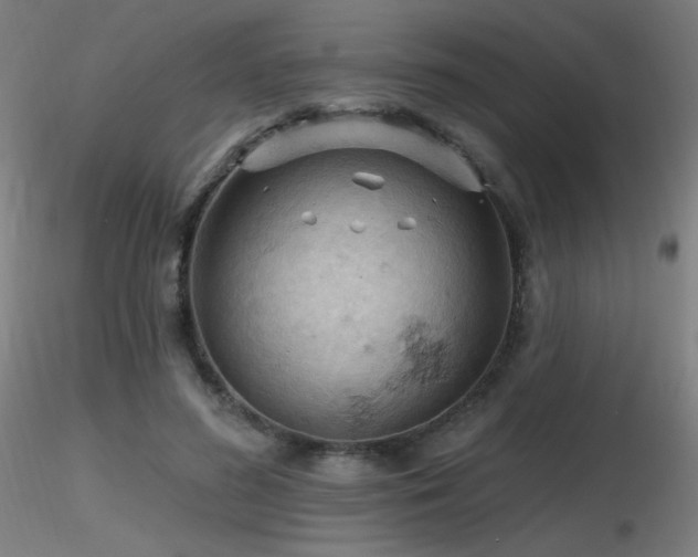 X0000116810596200912181346