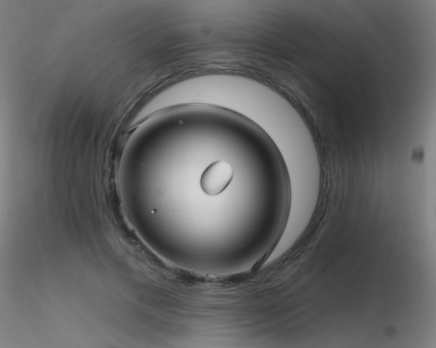 X0000116810597200912181346