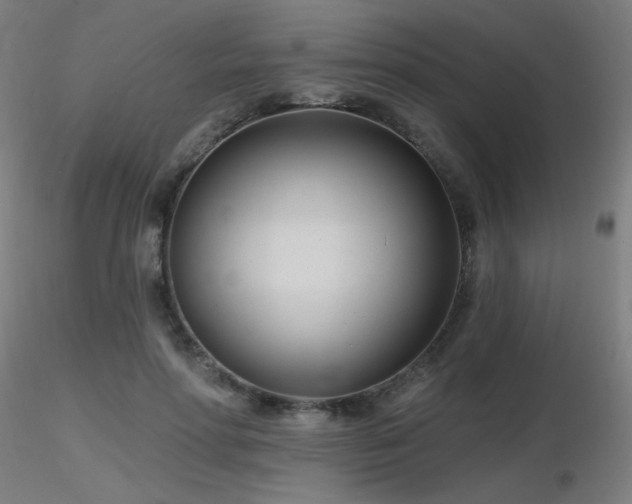 X0000116810598200912181346