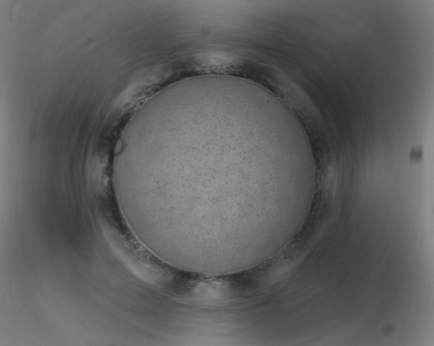 X0000116810599200912181346