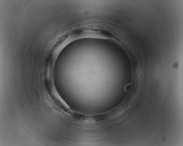 X0000116810600200912181346