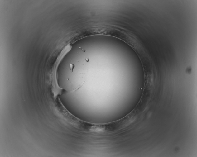 X0000116810602200912181346