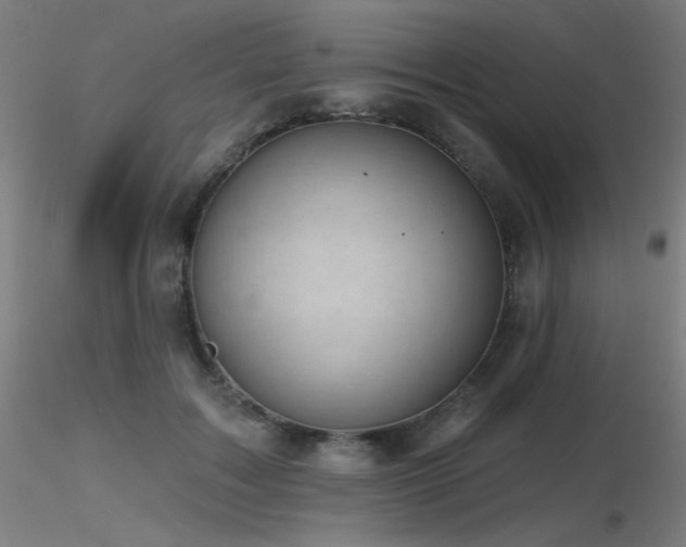 X0000116810603200912181346