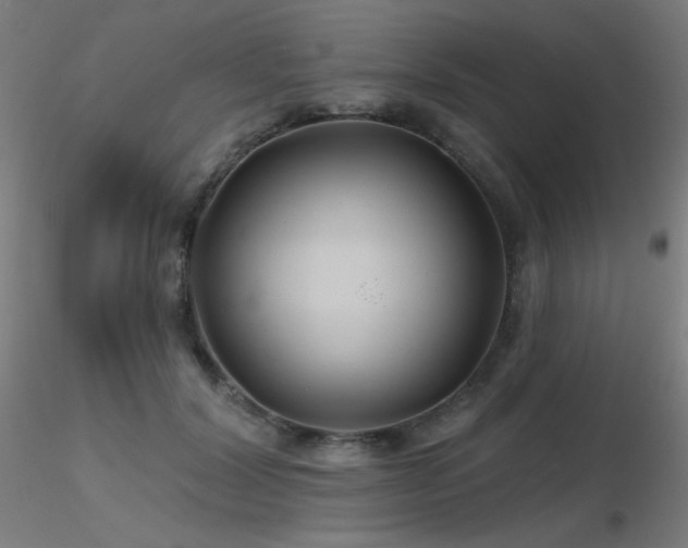 X0000116810604200912181346