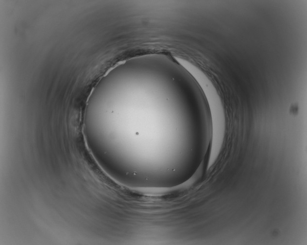 X0000116810605200912181346