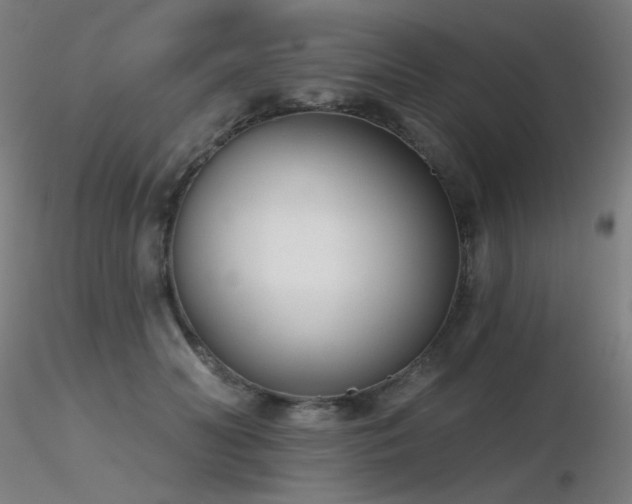 X0000116810606200912181346