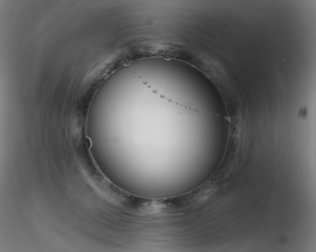 X0000116810607200912181346