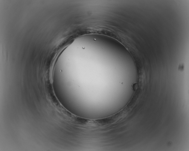 X0000116810608200912181346