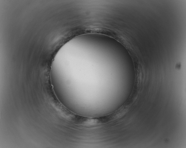 X0000116810609200912181346