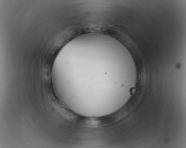 X0000116810610200912181346
