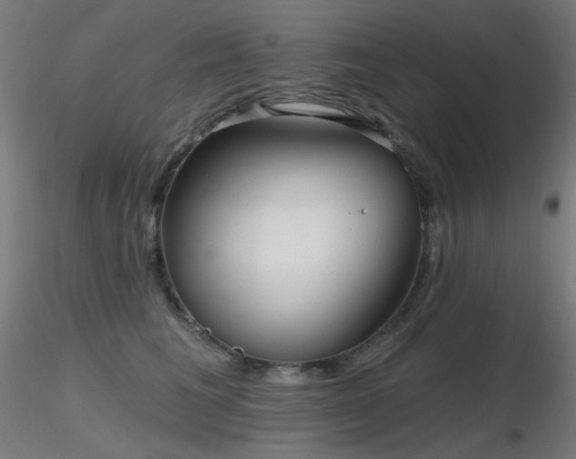 X0000116810613200912181346