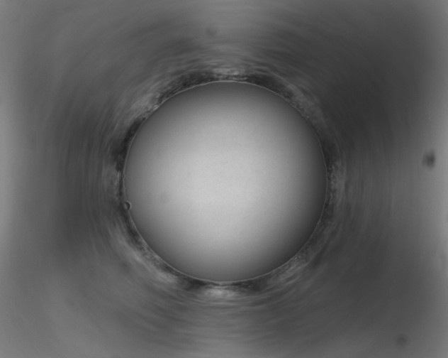 X0000116810614200912181346