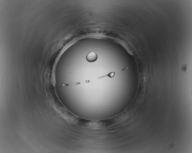 X0000116810615200912181346