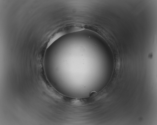 X0000116810616200912181346