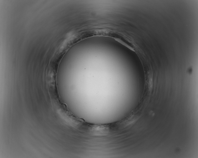 X0000116810619200912181346